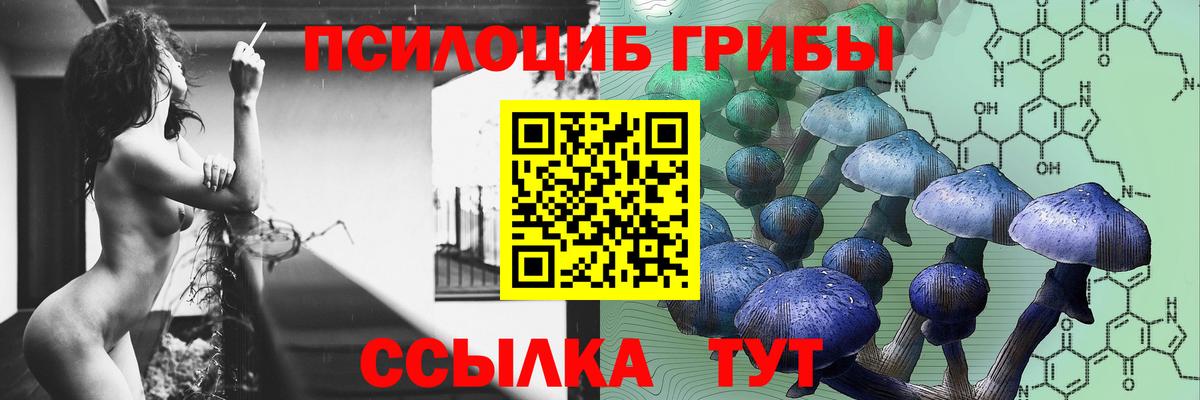 Галлюциногенные грибы Psilocybe  Вход с VPN  Кингисепп 